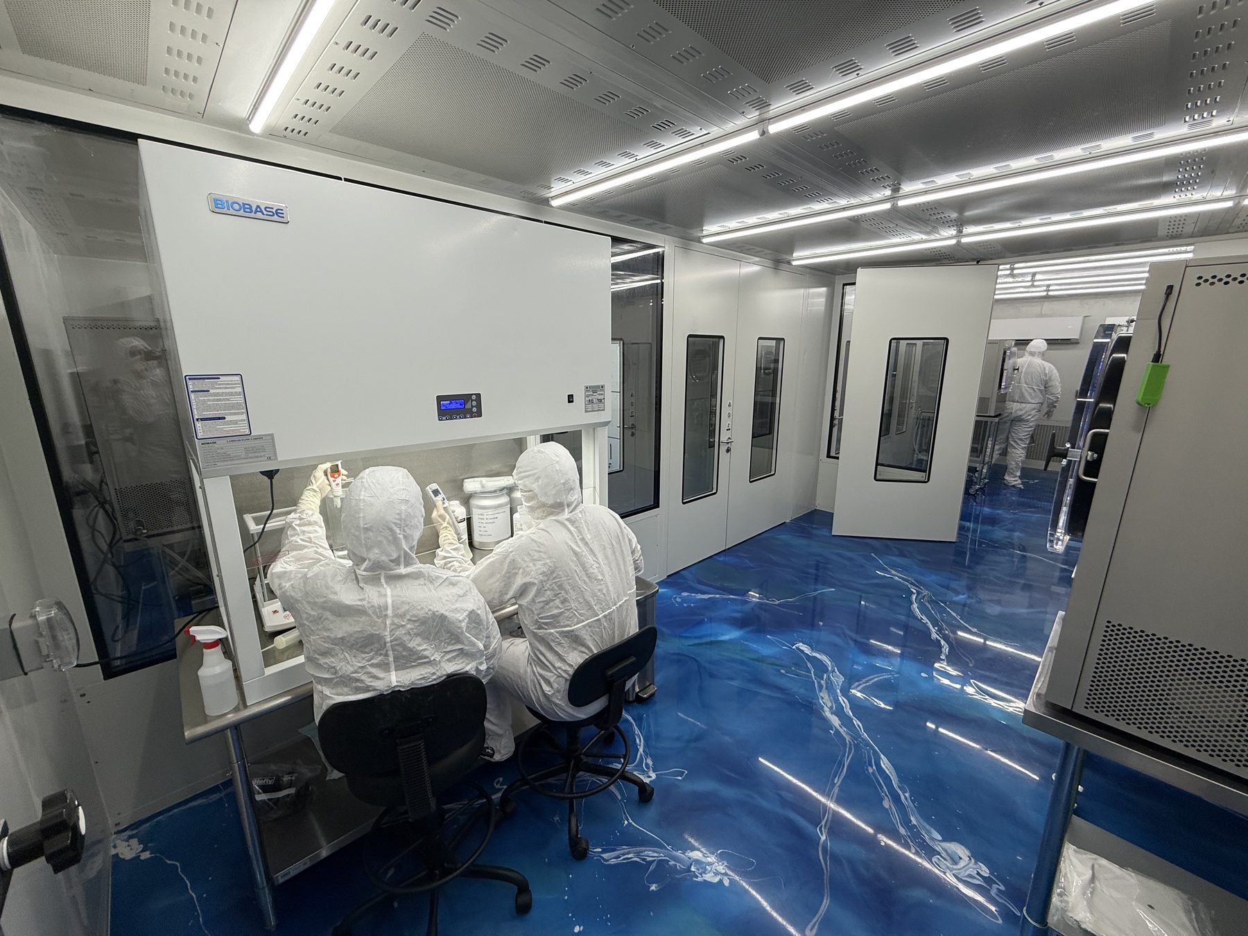 Two Alpha Peps operators in full cleanroom coveralls, hoods and face masks working with vials inside a Class II biological safety cabinet.